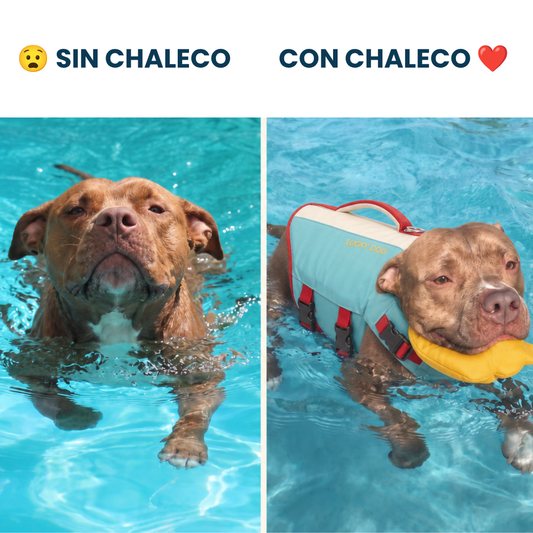 Chaleco