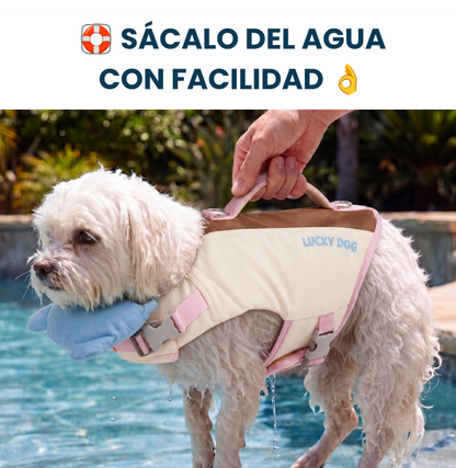 Chaleco